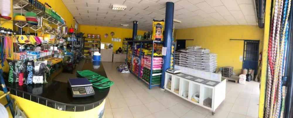Prédio Inteiro, 585 m² - Foto 3