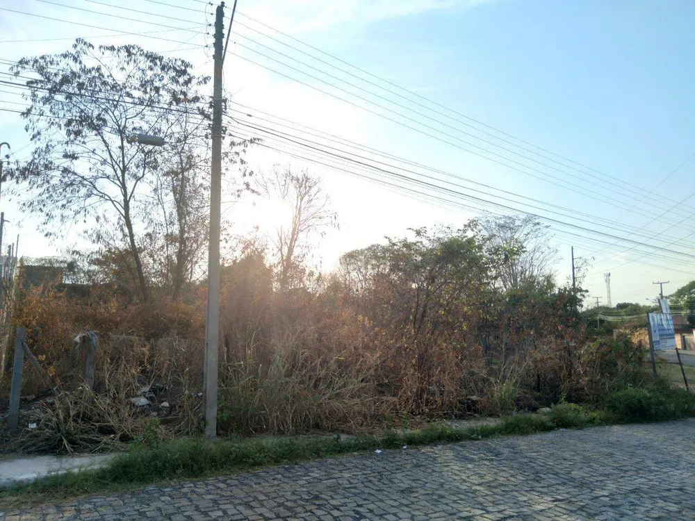 Terreno, 300 m² - Foto 3