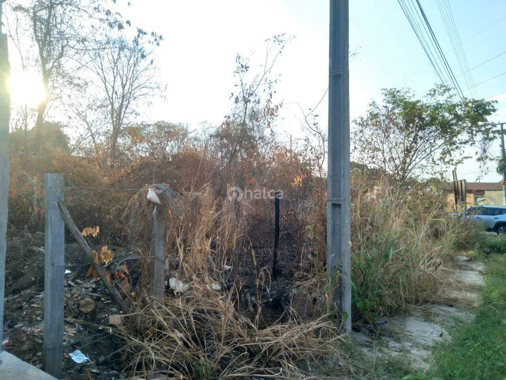 Terreno, 300 m² - Foto 4