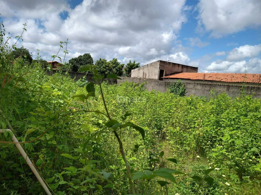 Terreno, 600 m² - Foto 4
