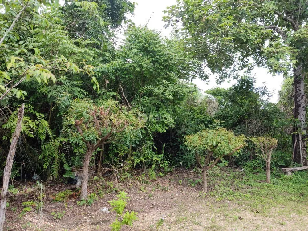 Terreno, 2236 m² - Foto 1