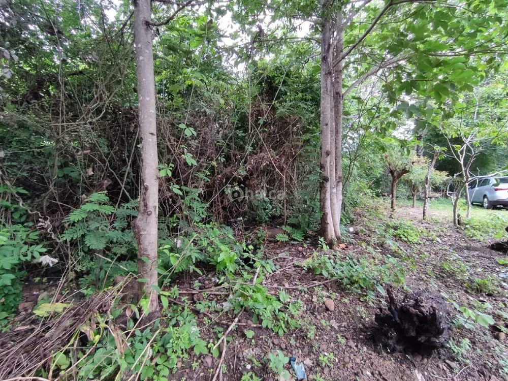 Terreno, 2236 m² - Foto 5