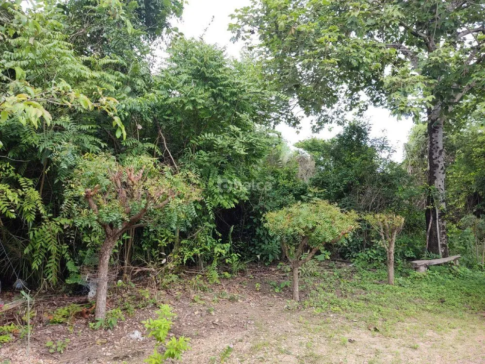 Terreno, 2236 m² - Foto 3