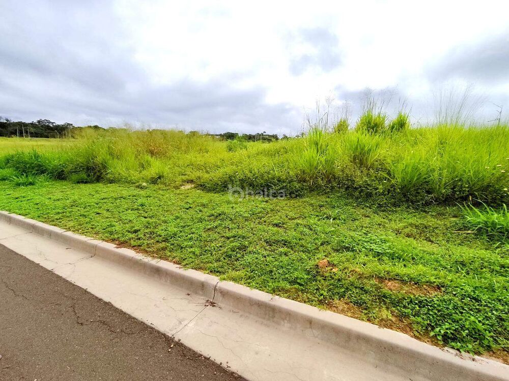 Terreno à venda, 243m² - Foto 4
