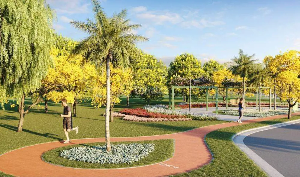 Terreno, 30 hectares - Foto 2