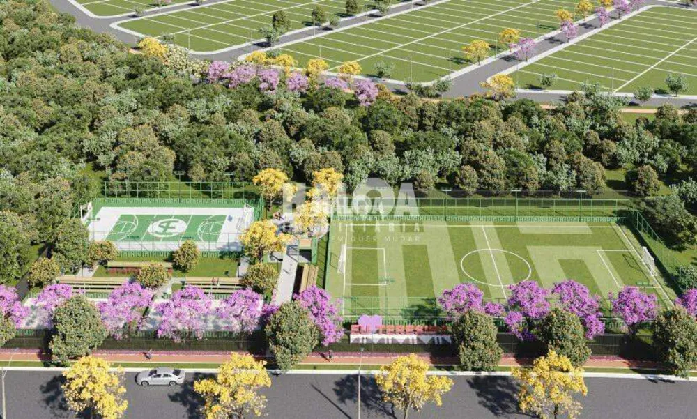 Terreno, 30 hectares - Foto 8