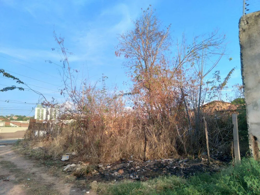 Terreno, 300 m² - Foto 3