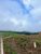 Terreno, 200 m² - Foto 3