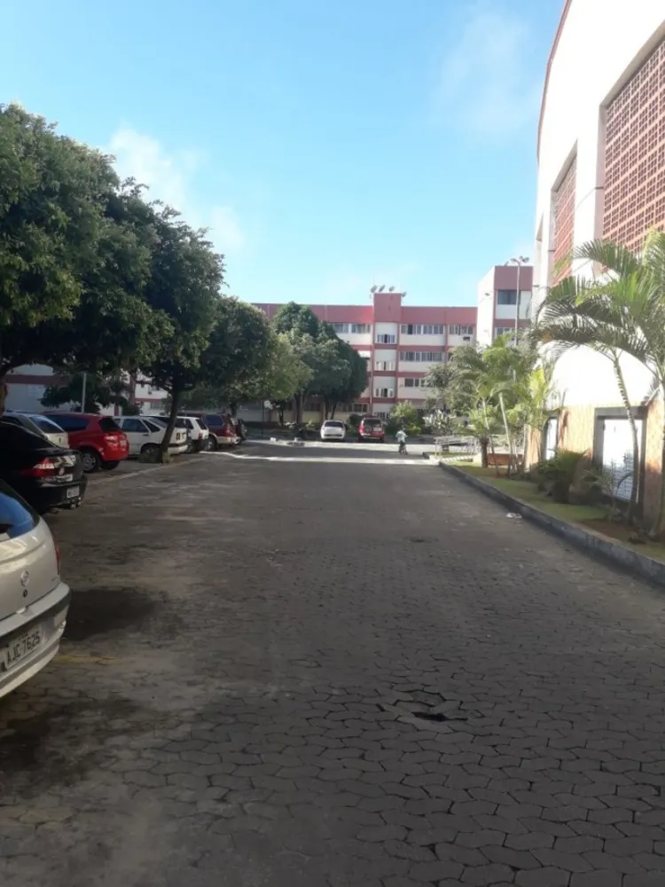 Apartamento, 3 quartos - Foto 12
