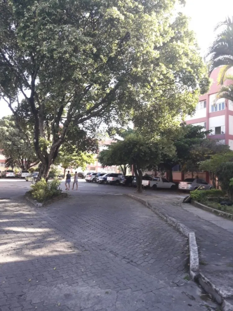 Apartamento, 2 quartos - Foto 10