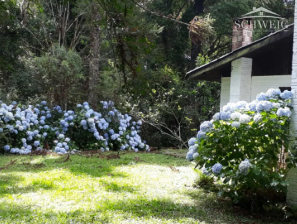 Sítio, 4 quartos, 1 hectares - Foto 3