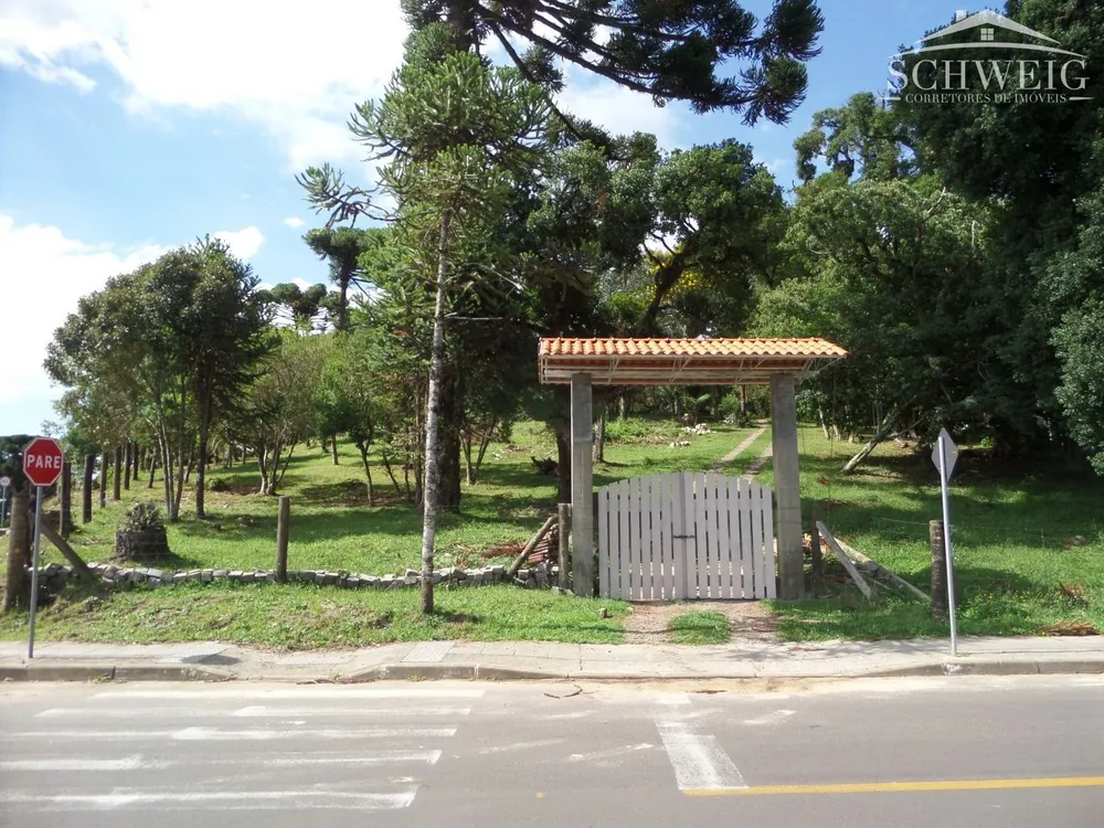 Terreno, 4567 m² - Foto 2