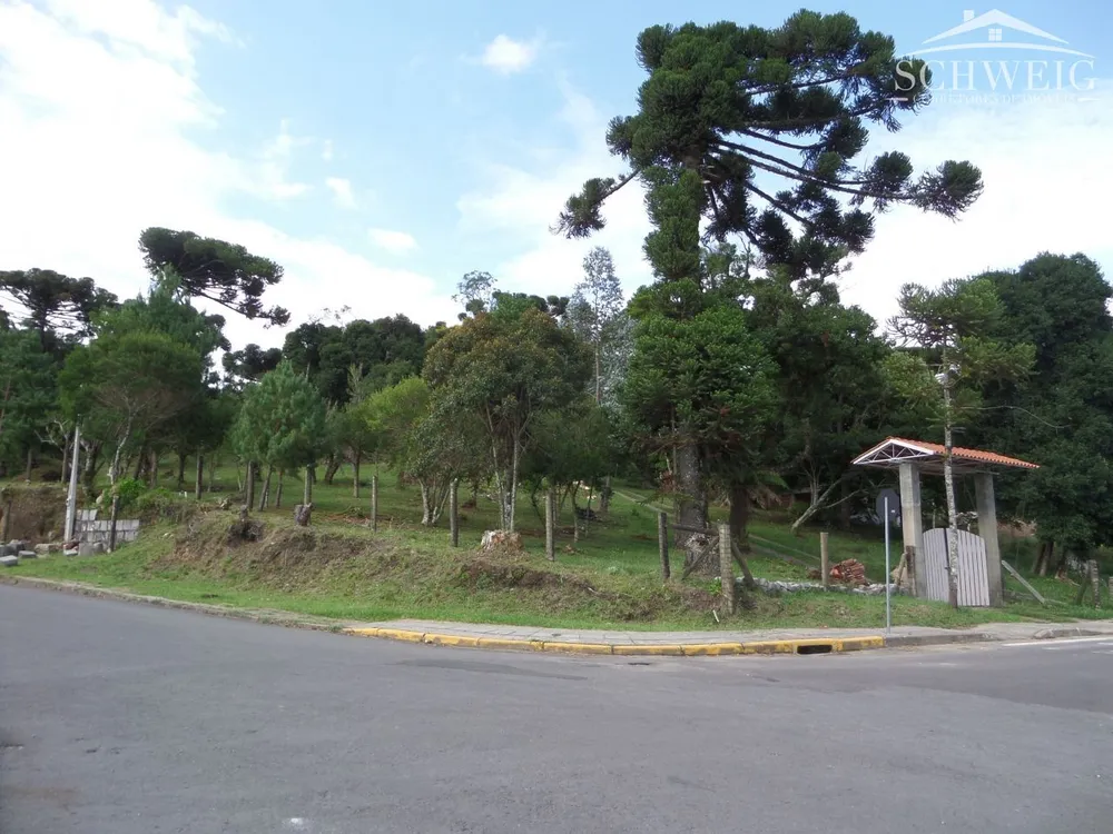 Terreno, 4567 m² - Foto 3