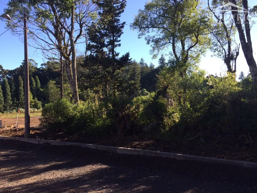 Terreno, 1000 m² - Foto 1