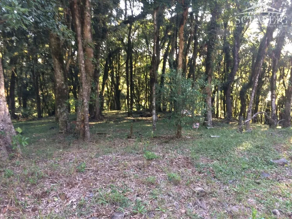 Terreno, 1128 m² - Foto 3