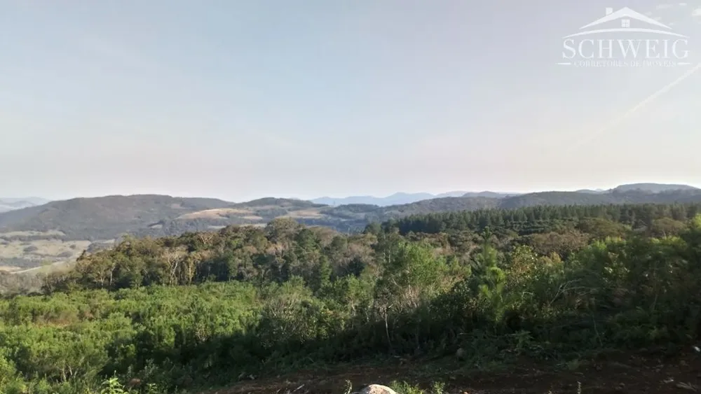 Sítio, 3 hectares - Foto 1
