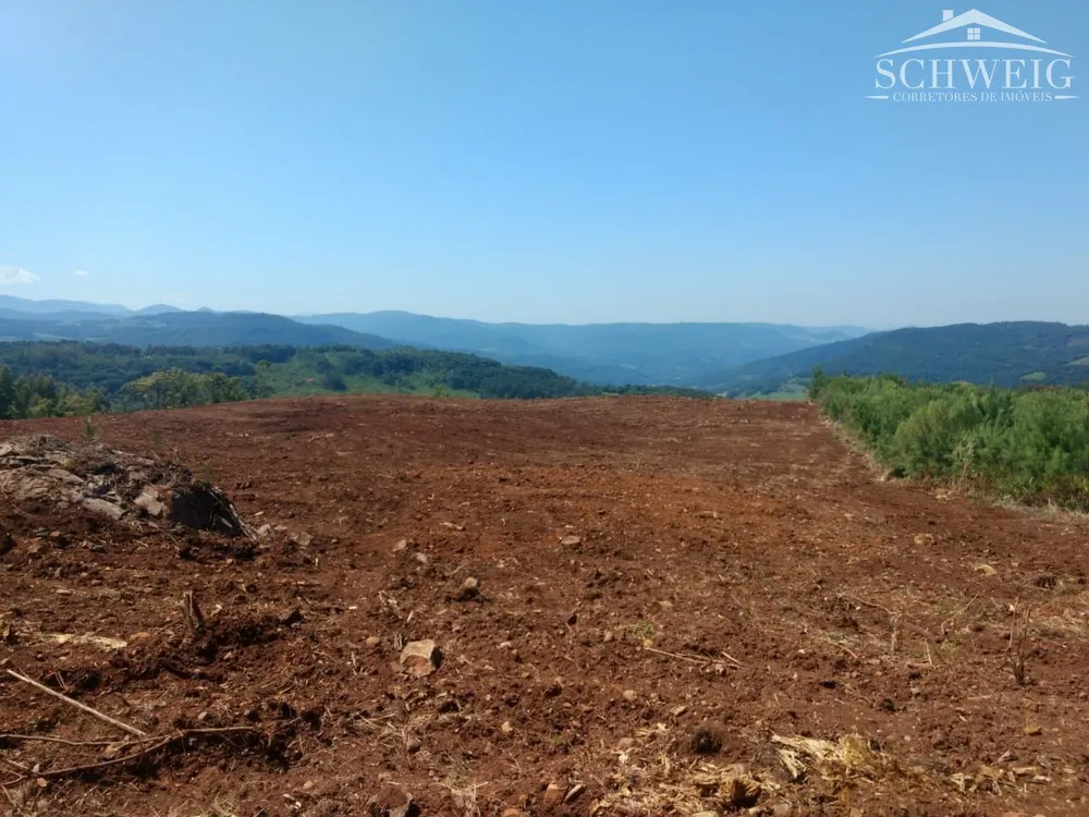 Sítio, 3 hectares - Foto 3