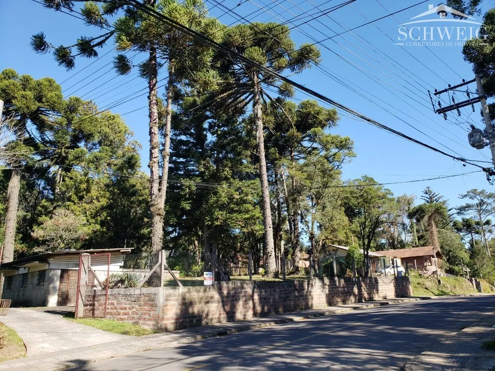 Terreno, 1050 m² - Foto 3