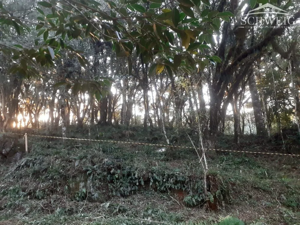 Terreno, 1000 m² - Foto 1
