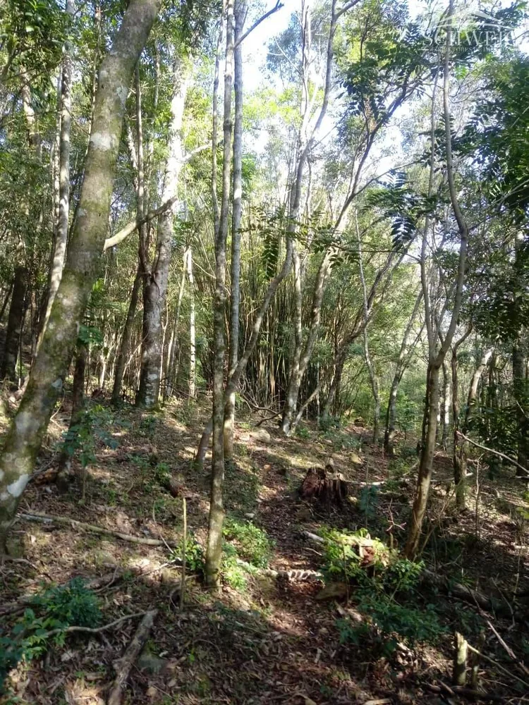 Terreno, 1000 m² - Foto 2