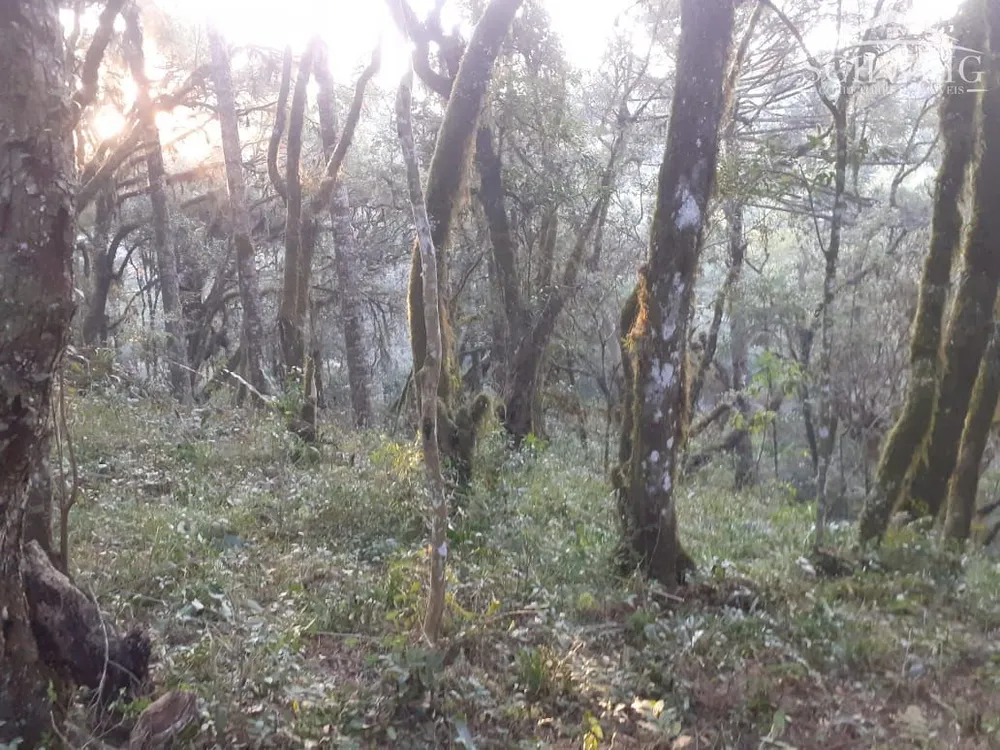 Terreno, 1000 m² - Foto 4