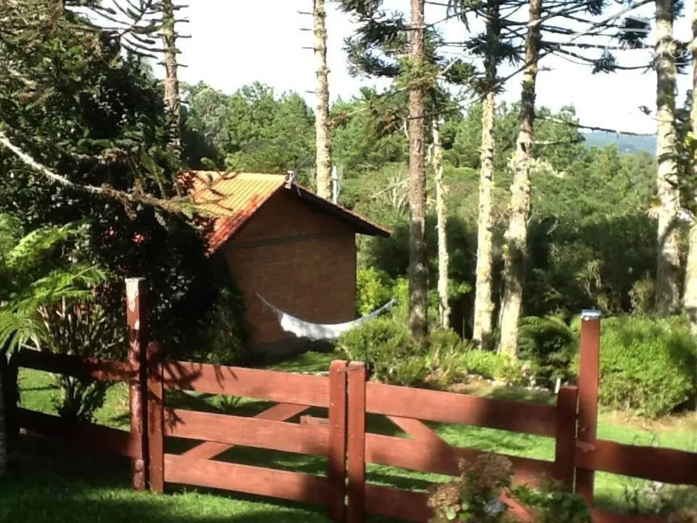 Chácara, 1 quarto, 4732 hectares - Foto 4
