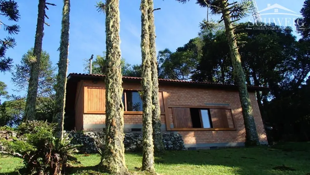 Chácara, 1 quarto, 4732 hectares - Foto 2