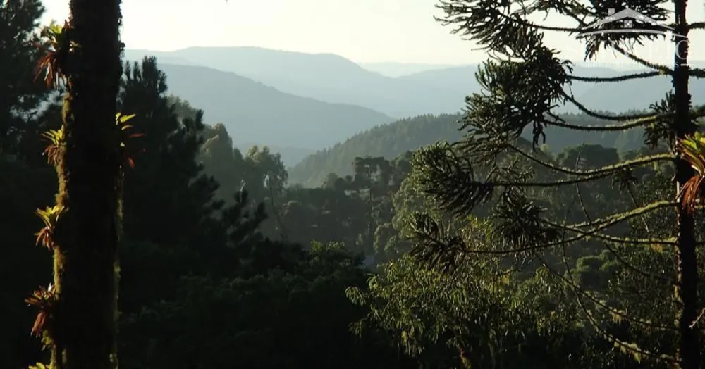 Chácara, 1 quarto, 4732 hectares - Foto 1