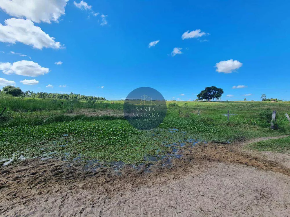 Fazenda - Foto 53
