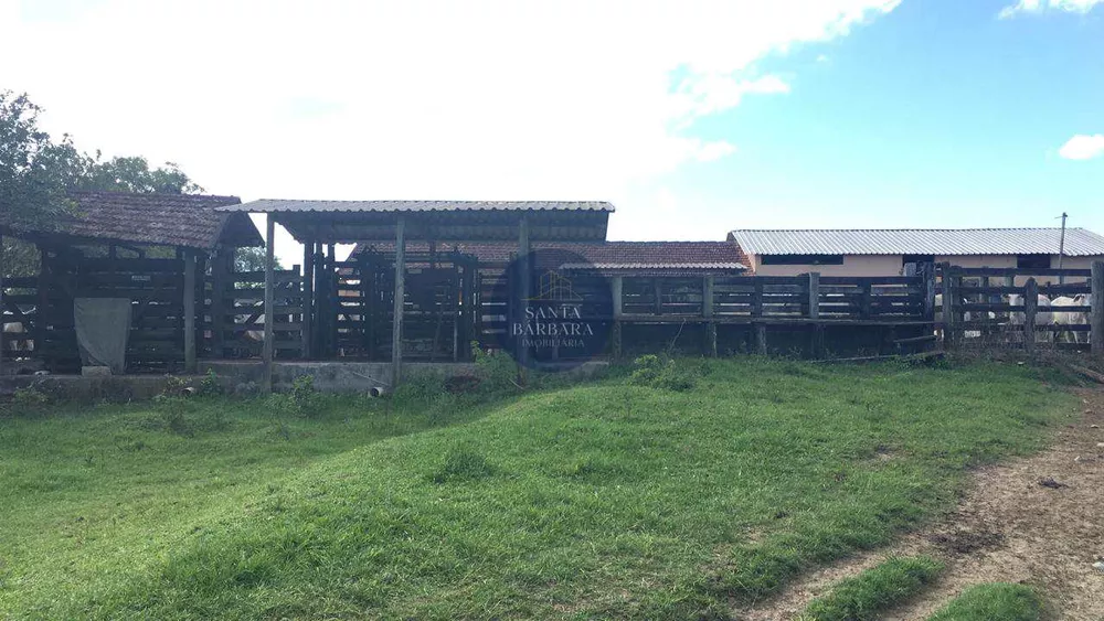 Fazenda - Foto 21