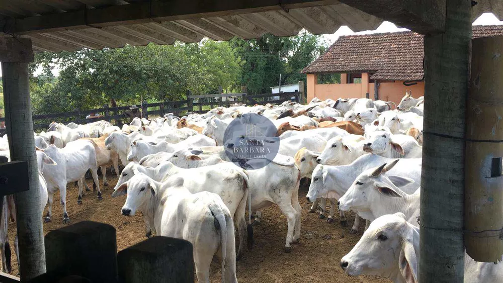 Fazenda - Foto 64