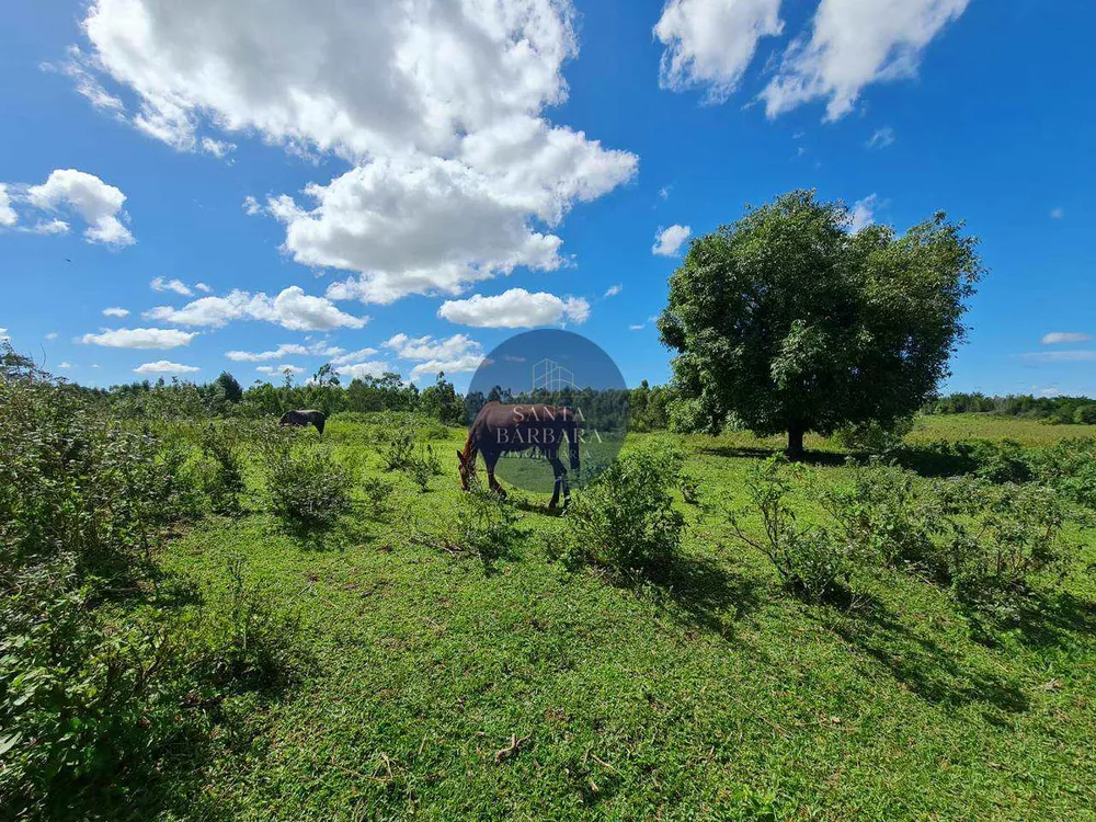 Fazenda - Foto 12