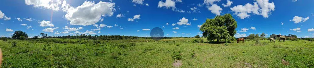 Fazenda - Foto 1