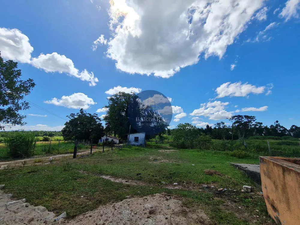 Fazenda - Foto 32