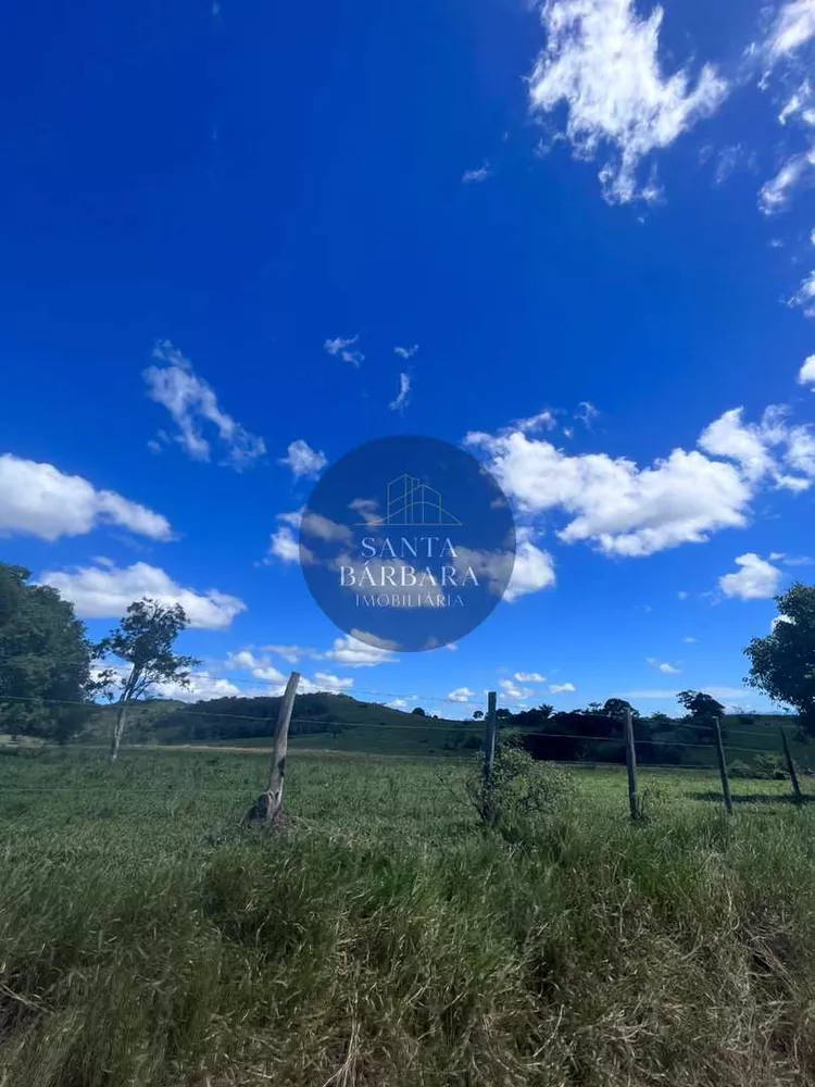 Fazenda - Foto 20