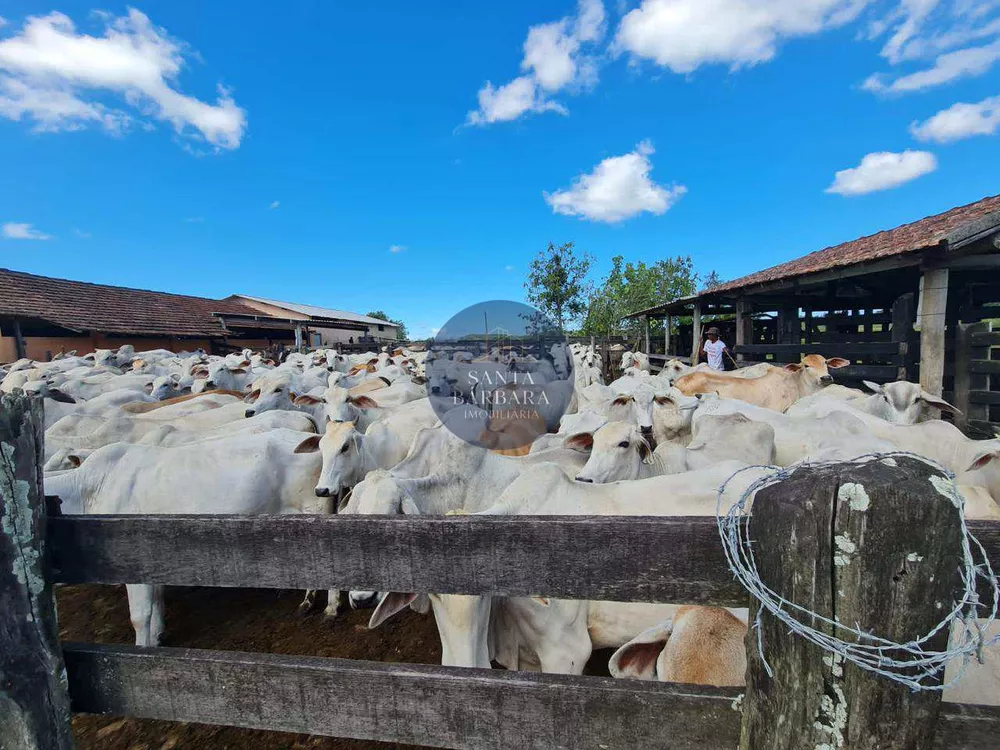 Fazenda - Foto 17