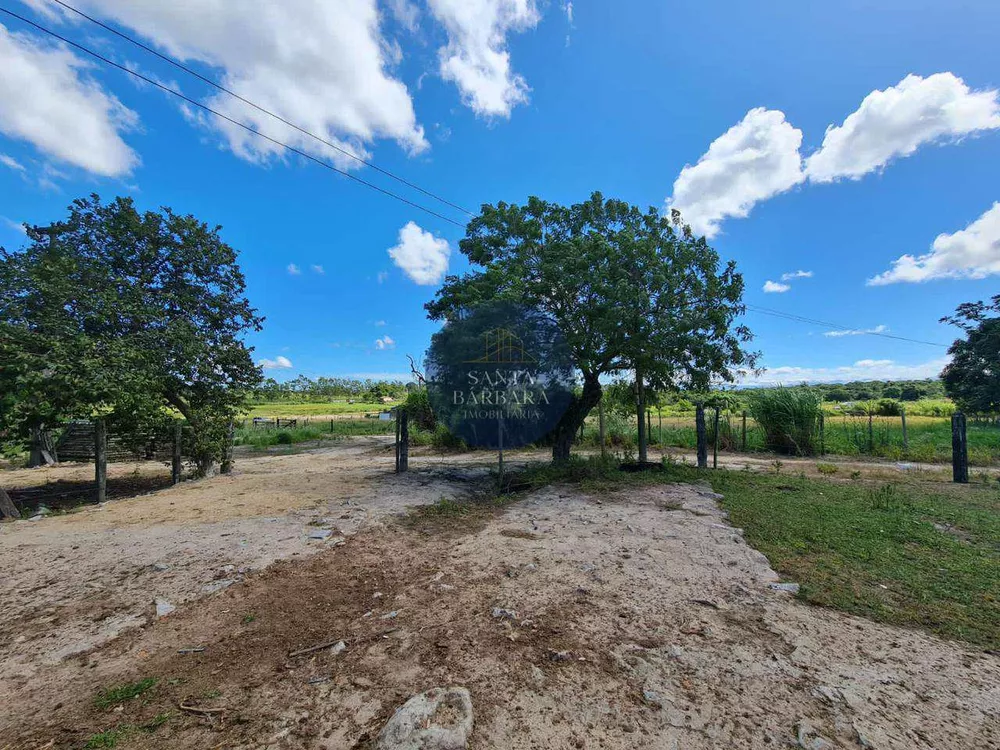 Fazenda - Foto 13