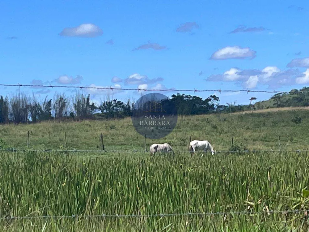 Fazenda - Foto 31