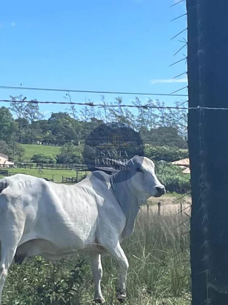 Fazenda - Foto 56