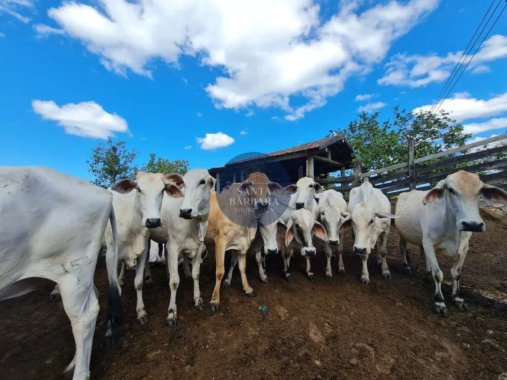 Fazenda - Foto 40