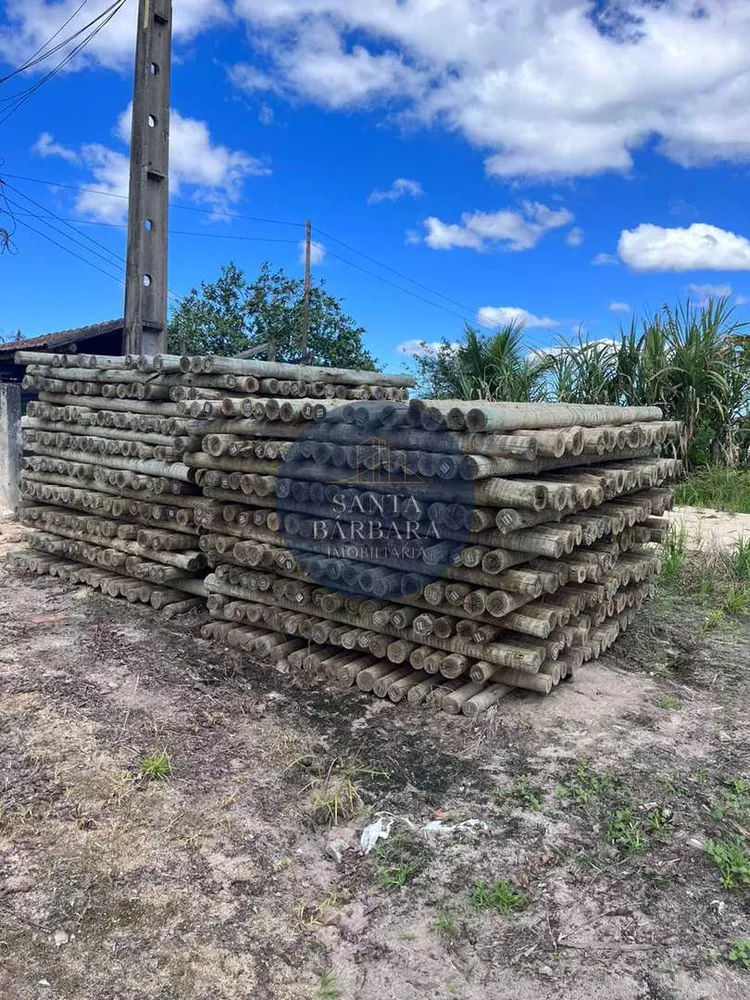 Fazenda - Foto 41