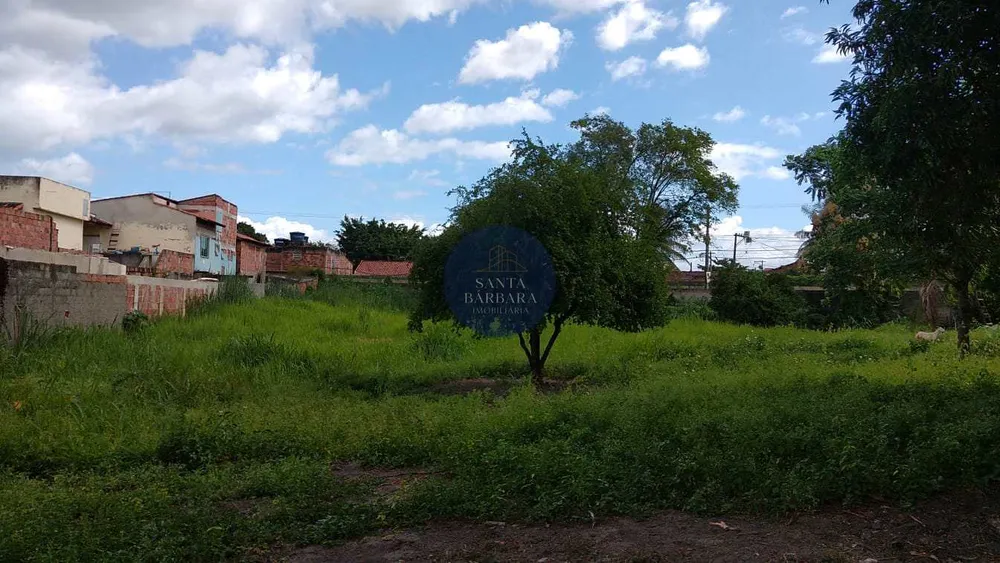 Loteamento e Condomínio - Foto 12