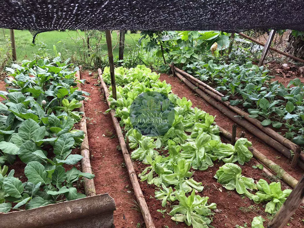 Sítio, 3 quartos, 13 hectares - Foto 7