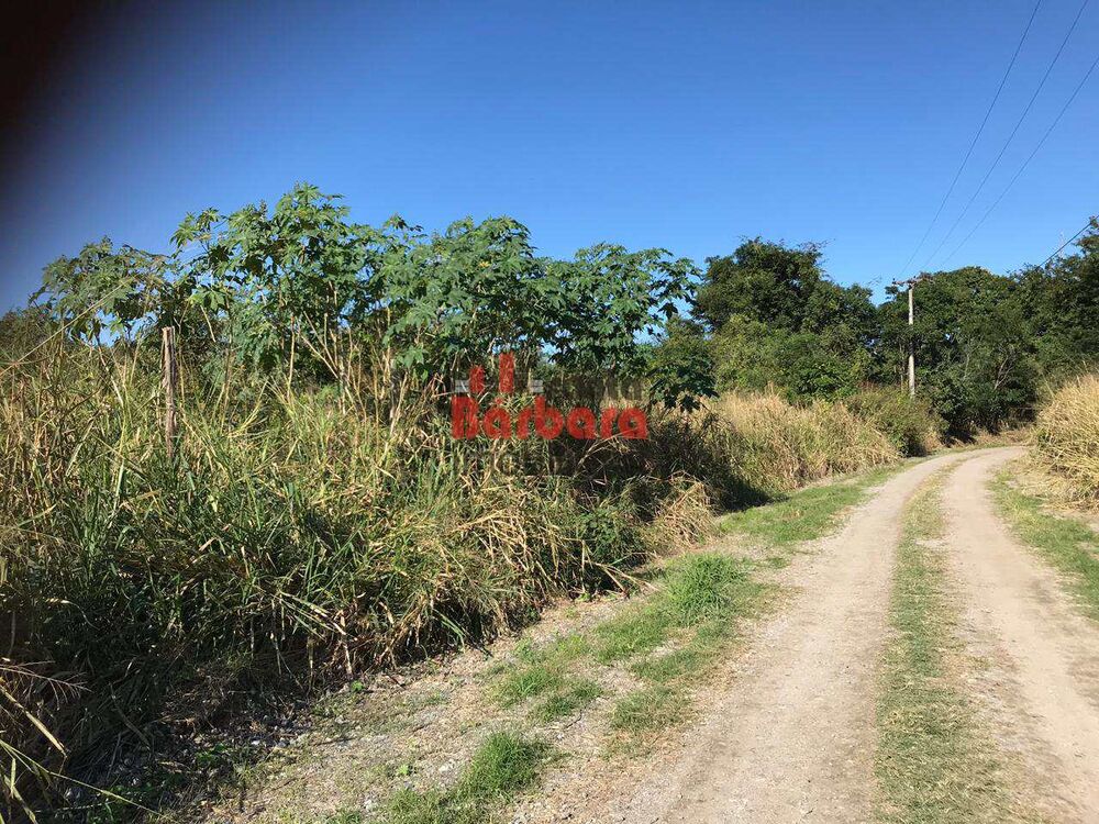 Terreno, 2 hectares - Foto 4