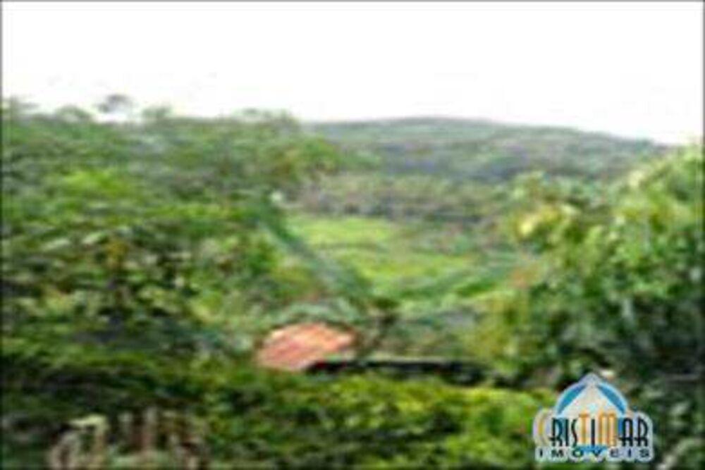 Fazenda, 4 quartos - Foto 5