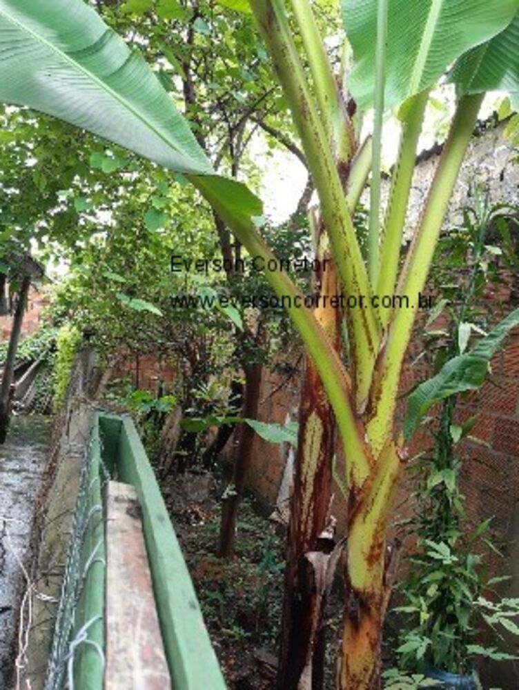 Casa, 1 quarto, 200 m² - Foto 11