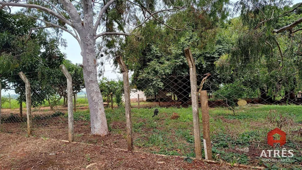 Terreno, 5 hectares - Foto 3