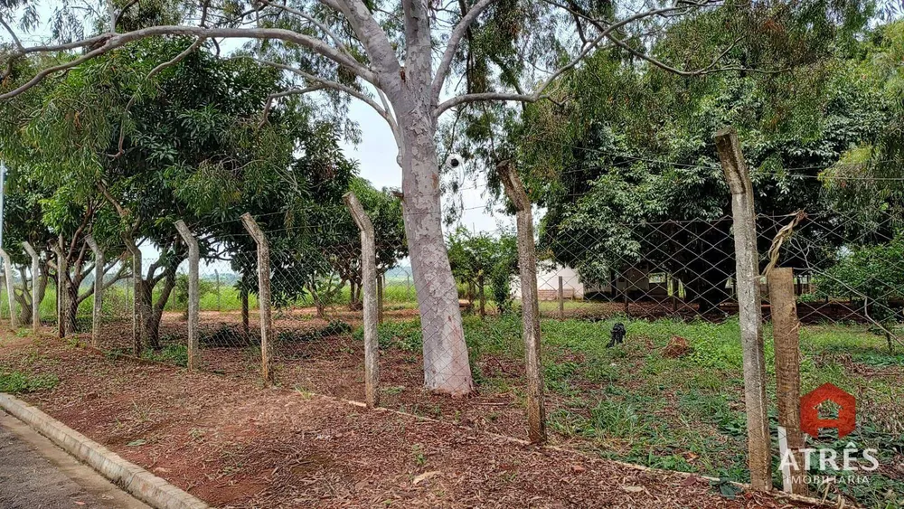Terreno, 5 hectares - Foto 2