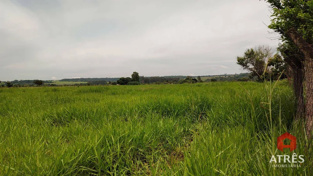 Terreno, 5 hectares - Foto 4