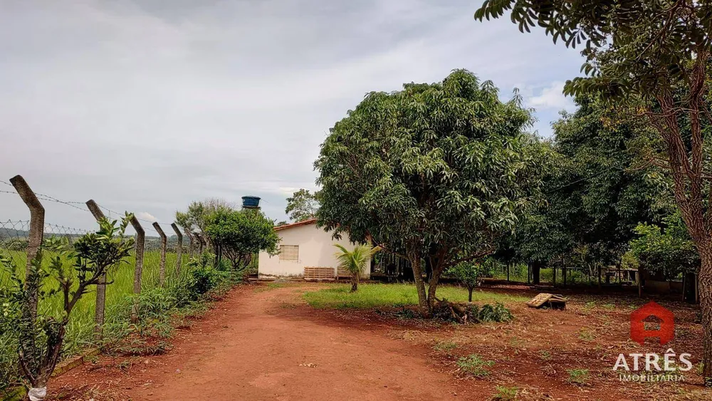Terreno, 5 hectares - Foto 1